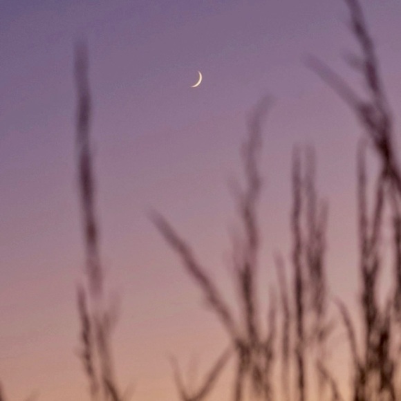 Meet your Posher, Devon 🔮 🪄 🌙 ✌🏼 ☮️ - Picture 13 of 15